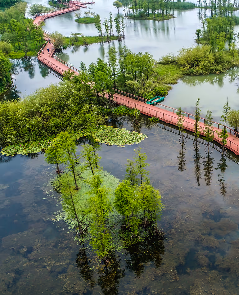 Waterway restoration image