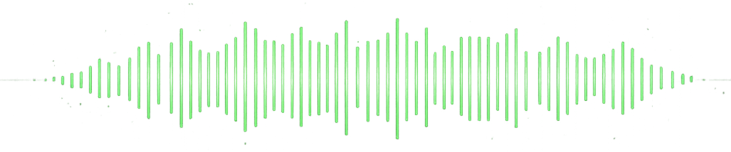 Voice Waveform